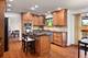 2261 Remington, Naperville, IL 60565