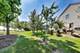 487 N Anna, Romeoville, IL 60446