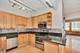 801 S Wells Unit 303, Chicago, IL 60607