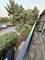 4418 Beau Monde Unit 206, Lisle, IL 60532