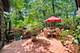 3121 Whispering Oaks, Woodridge, IL 60517