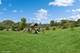 28 Shenandoah, South Barrington, IL 60010