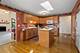 641 Lisson, New Lenox, IL 60451