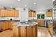 290 Cold Spring, Barrington, IL 60010