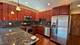 1537 N Paulina Unit 1, Chicago, IL 60622