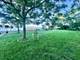 1214 W Jarvis Unit 1N, Chicago, IL 60626