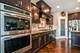 20042 Brendan, Frankfort, IL 60423