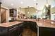 20042 Brendan, Frankfort, IL 60423