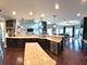 20042 Brendan, Frankfort, IL 60423