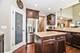 20042 Brendan, Frankfort, IL 60423