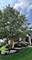 20042 Brendan, Frankfort, IL 60423