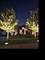 20042 Brendan, Frankfort, IL 60423