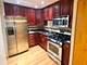 5306 N Cumberland Unit 306, Chicago, IL 60656