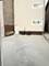 3836 S Parnell, Chicago, IL 60609