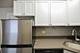 817 W Lakeside Unit 305, Chicago, IL 60640