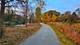 2132 Berkley Unit 201A, Naperville, IL 60565