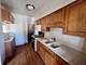 1733 N Oak Park, Chicago, IL 60707