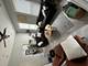 1738 W 18th Unit 2, Chicago, IL 60608
