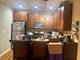 3705 N Kenneth Unit 113, Chicago, IL 60641