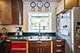 3036 N Gresham, Chicago, IL 60618