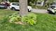 1918 Noyes, Evanston, IL 60201