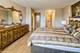 245 S Park Unit 424, Palatine, IL 60074