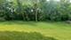 7N072 Willowbrook, St. Charles, IL 60175