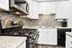 13734 W Birchwood, Homer Glen, IL 60491