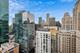 535 N Michigan Unit 1103, Chicago, IL 60611