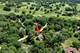 55 Cahill, Trout Valley, IL 60013