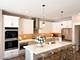 Lot 255 Marigold, Elgin, IL 60124
