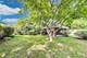 1000 E Lincoln, Mount Prospect, IL 60056