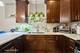 6044 N Washtenaw Unit G, Chicago, IL 60659