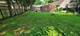 3811 N Park, Westmont, IL 60559