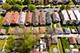 8324 S Morgan, Chicago, IL 60620