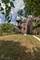 6224 S Greenwood, Chicago, IL 60637