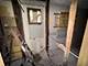 4317 W Wilcox, Chicago, IL 60624