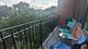 1738 W Belmont Unit 3F, Chicago, IL 60657