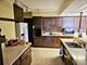 389 Austin, Park Ridge, IL 60068