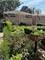 1004 31st, Bellwood, IL 60104