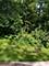 35403 N 2nd, Ingleside, IL 60041