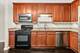 1910 S State Unit 227, Chicago, IL 60616