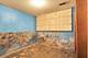 10049 S Indiana, Chicago, IL 60628