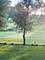 246 Kenston Unit 246, Geneva, IL 60134
