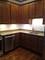 1445 W 16th, Chicago, IL 60608