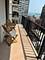 71 E Division Unit 1706, Chicago, IL 60610