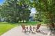 971 W Hidden Hills, Palatine, IL 60067