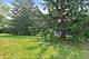 971 W Hidden Hills, Palatine, IL 60067