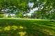 3103 Stonegate, Crystal Lake, IL 60012