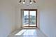 711 S River Unit 508, Des Plaines, IL 60016